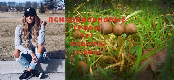 кристаллы Медногорск