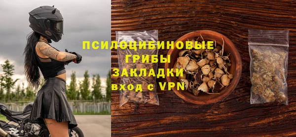 амф Мегион