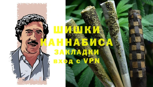 амф Мегион