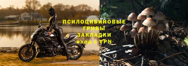 apvp Медвежьегорск