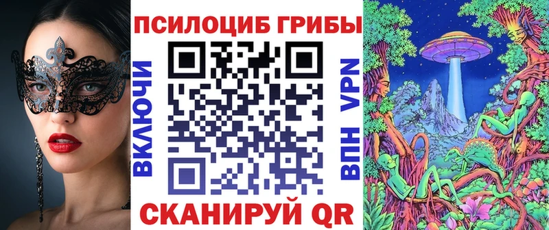 Галлюциногенные грибы Psilocybe  Купить  Печоры 